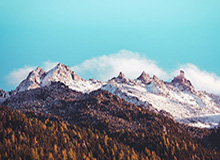 2026世界杯官网-丰配友刷新男子马拉松全国纪录