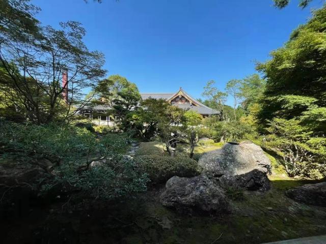 赛事新闻-日本阿含･桐山杯许家元首度加冕，井山事不过“五”